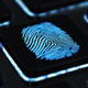 Biometric fingerprint capture