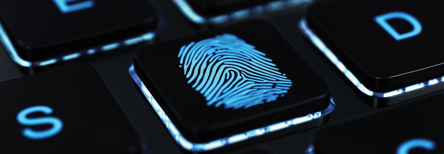 Biometric fingerprint capture