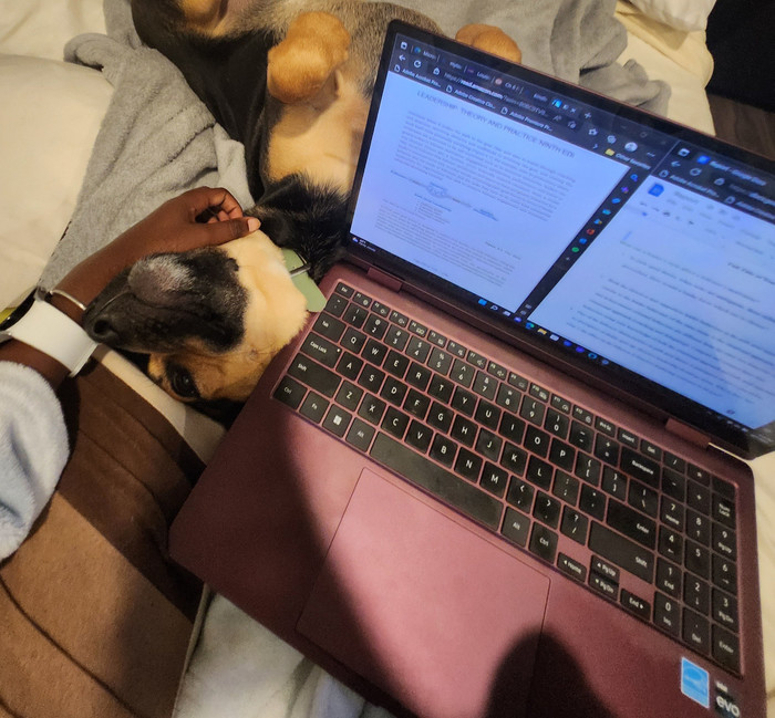 A dog snuggles up to a laptop
