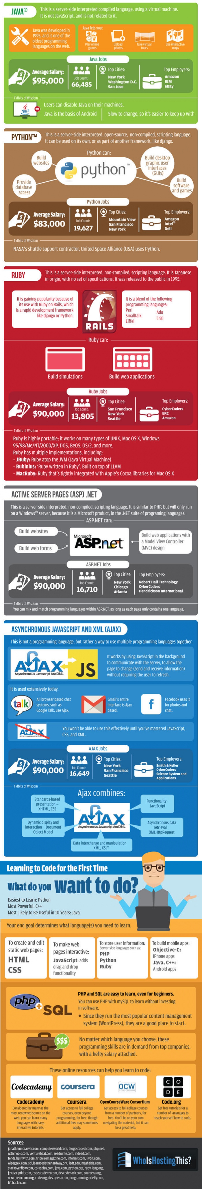Programming Languages Infographic