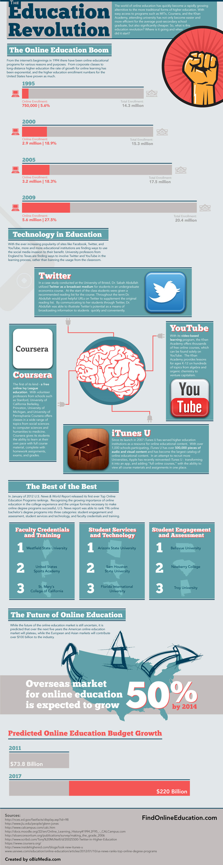 Online Education Infographic