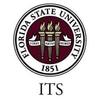 Florida State IT Services