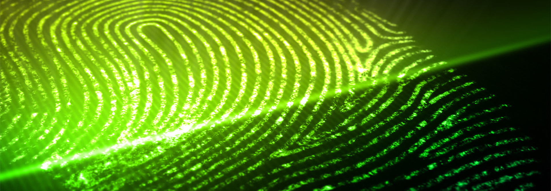 fingerprint
