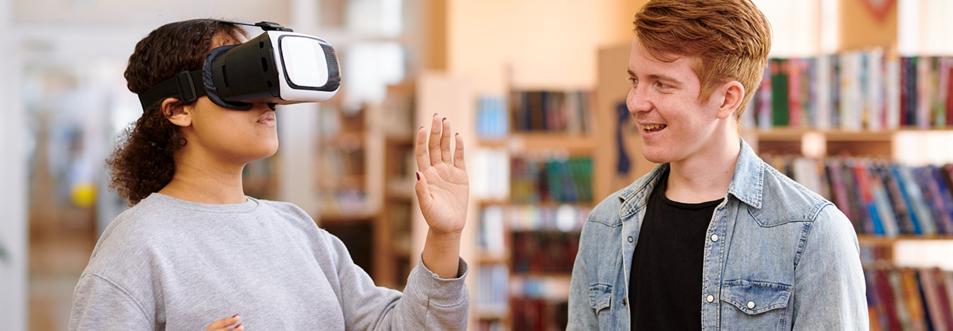 Virtual Reality Use in Higher Education