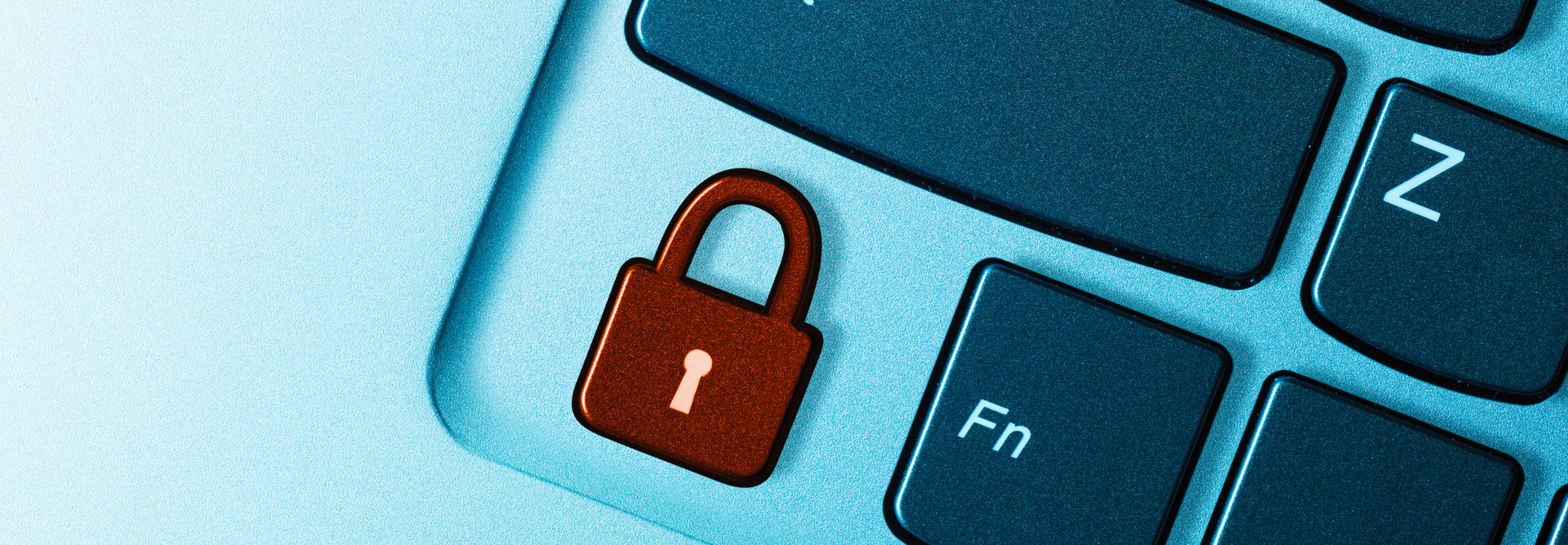 When Crisis Strikes, So Do Cyber Criminals