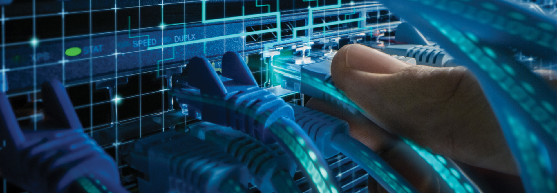 Using a network switch