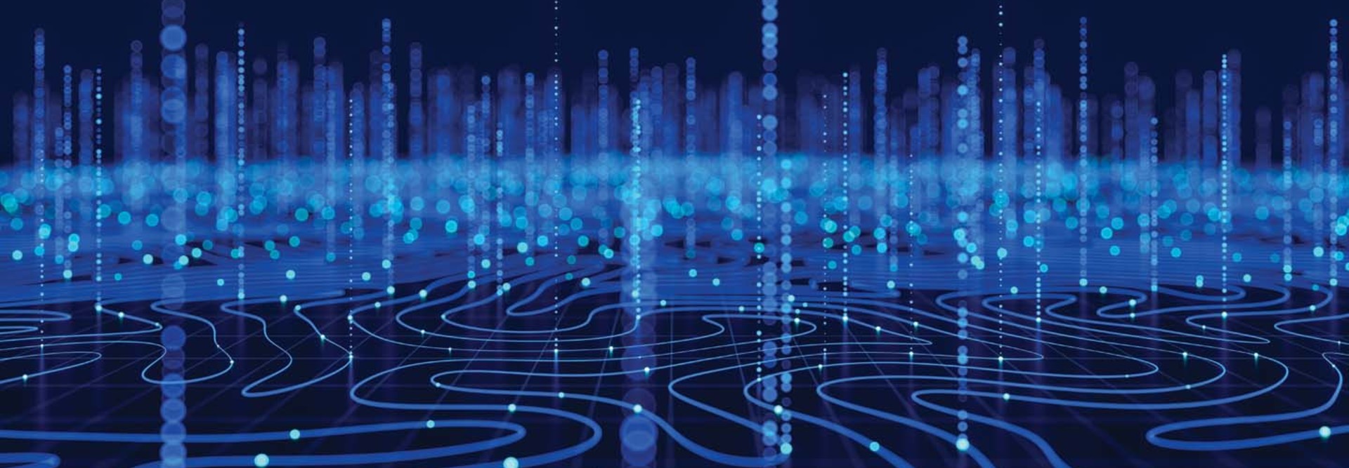 Animated computer network