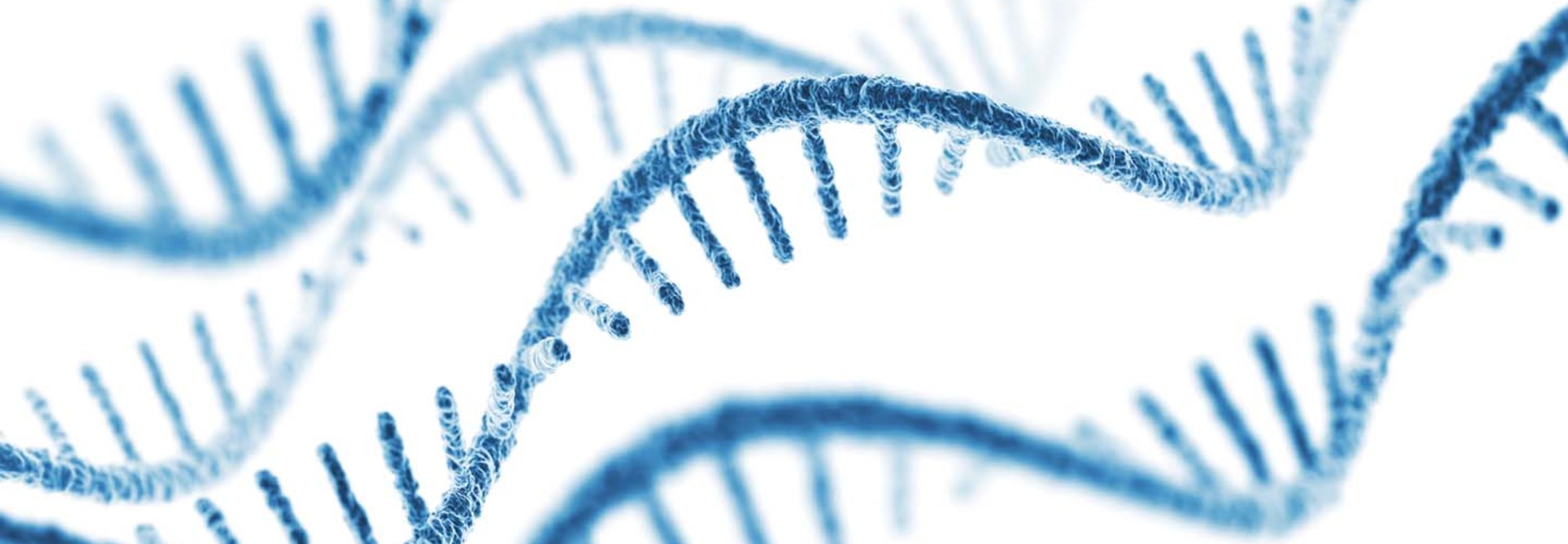 Illustration of an RNA helix