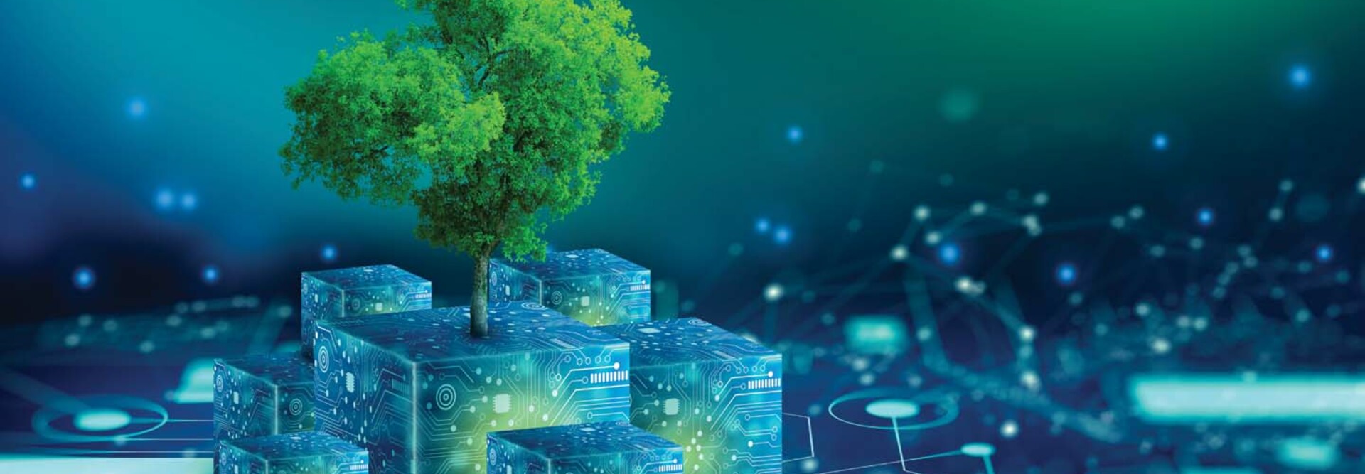 Illustration of a tree growing out of some futuristic cubes