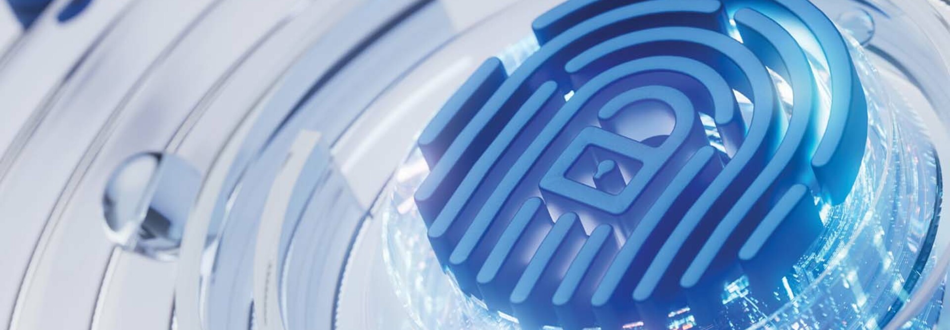Blue fingerprint with lock in the middle