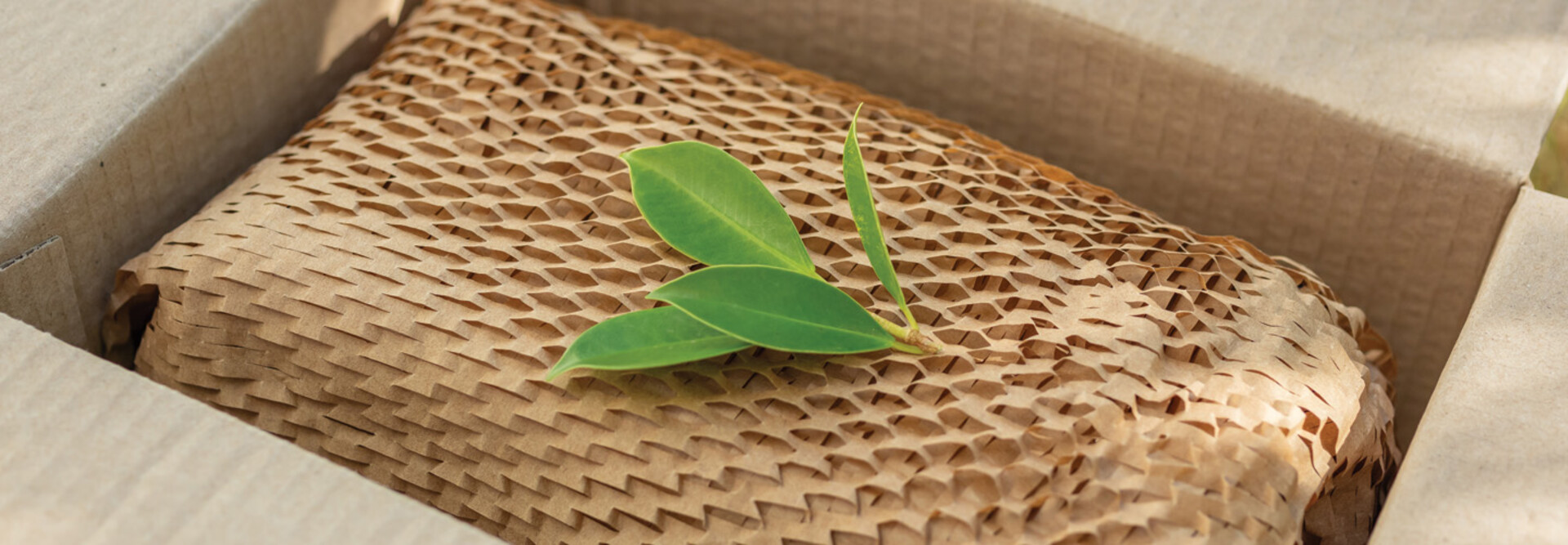 A box with paper packaging and a bit of greenery draped on top to represent sustainability