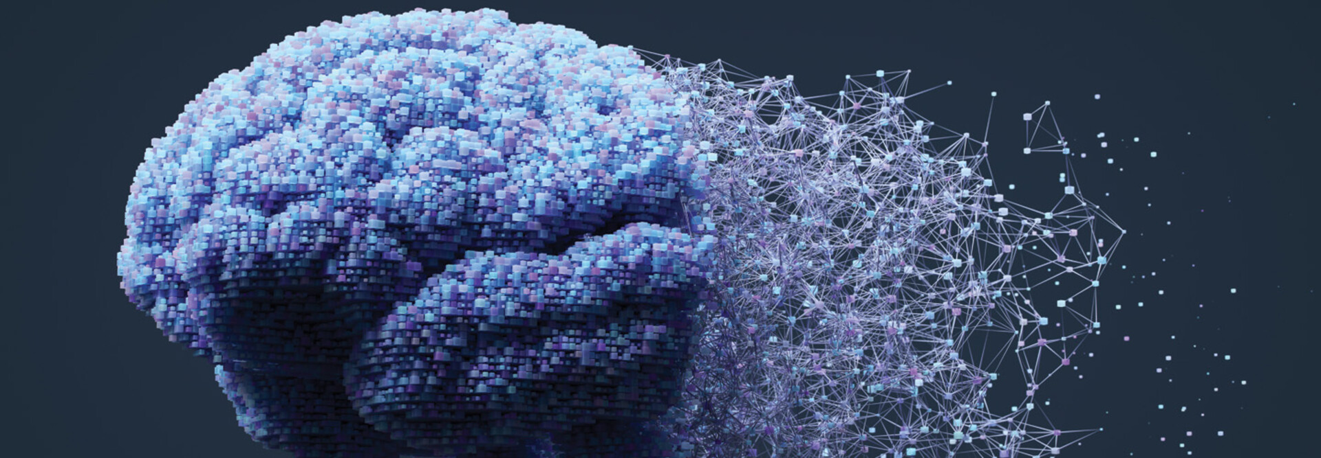 Visualization of a human brain becoming digitized