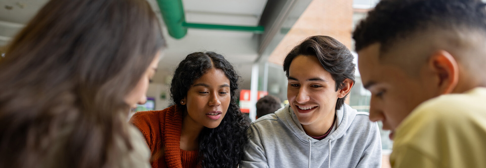 Students studying together