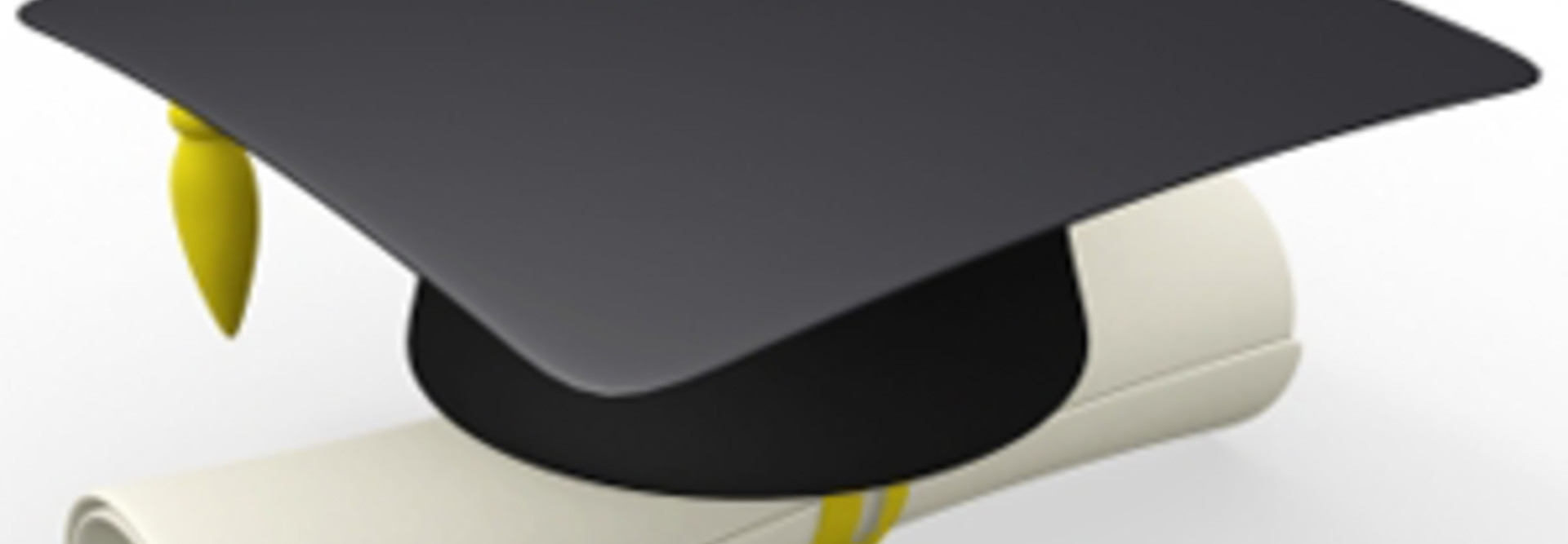 WHAT DOES HIGHER EDUCATION MEAN IN COLLEGE visual data 7