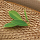 A box with paper packaging and a bit of greenery draped on top to represent sustainability