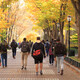 College campus