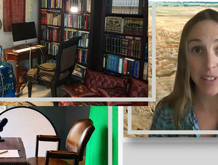 College professors video conferencing elearning