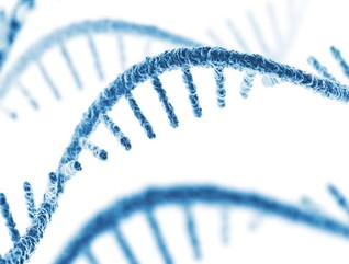 Illustration of an RNA helix