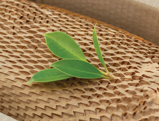 A box with paper packaging and a bit of greenery draped on top to represent sustainability