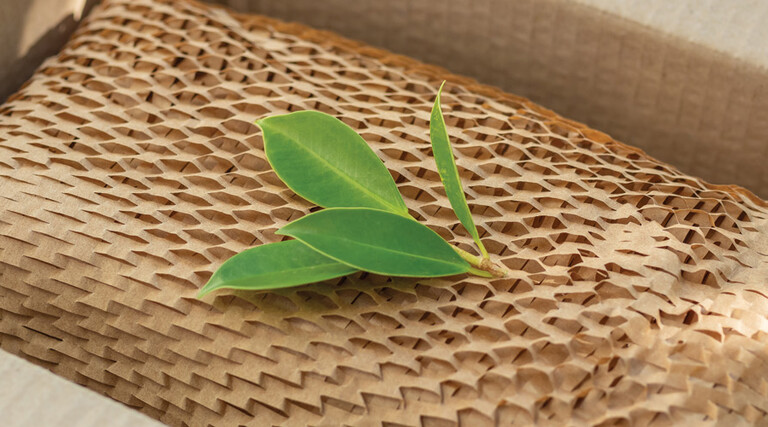 A box with paper packaging and a bit of greenery draped on top to represent sustainability