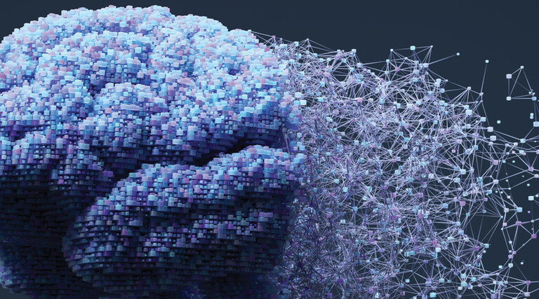 Visualization of a human brain becoming digitized