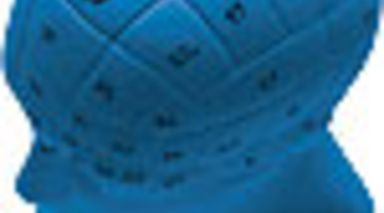 Access Point