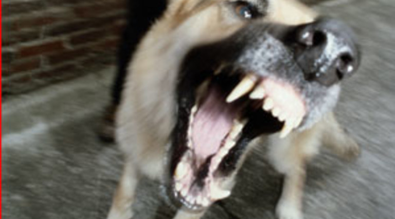 Review: Epson PowerLite 435W