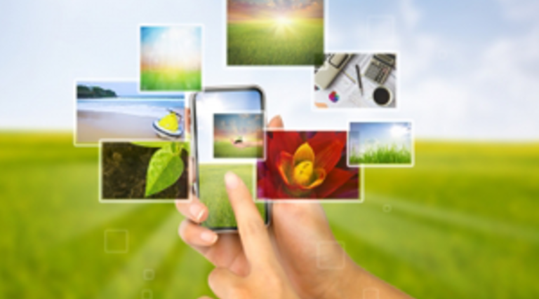 4 Colleges with Windows Phone Apps 