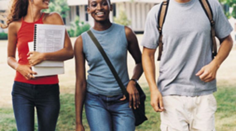 Many Forms, Many Functions: E-Portfolios at College