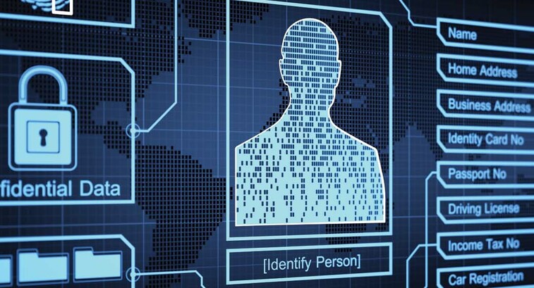 Illustration of a person's personal information on a computer screen