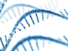 Illustration of an RNA helix