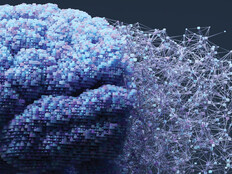 Visualization of a human brain becoming digitized