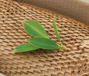 A box with paper packaging and a bit of greenery draped on top to represent sustainability
