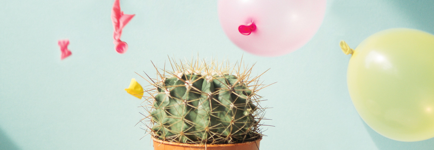 network security protection - cactus popping balloons
