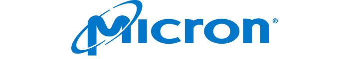 Micron Logo