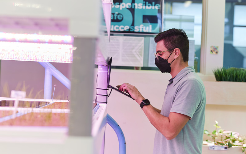 A student at San Andreas High School in California works in the hydroponic growing facility and greenhouse.