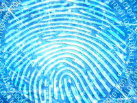 Finger print digital security