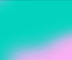 Network LP