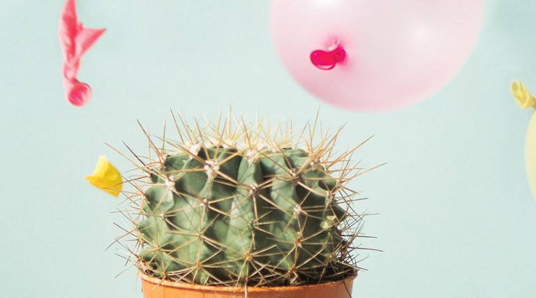 network security protection - cactus popping balloons