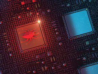 bug on infected chip