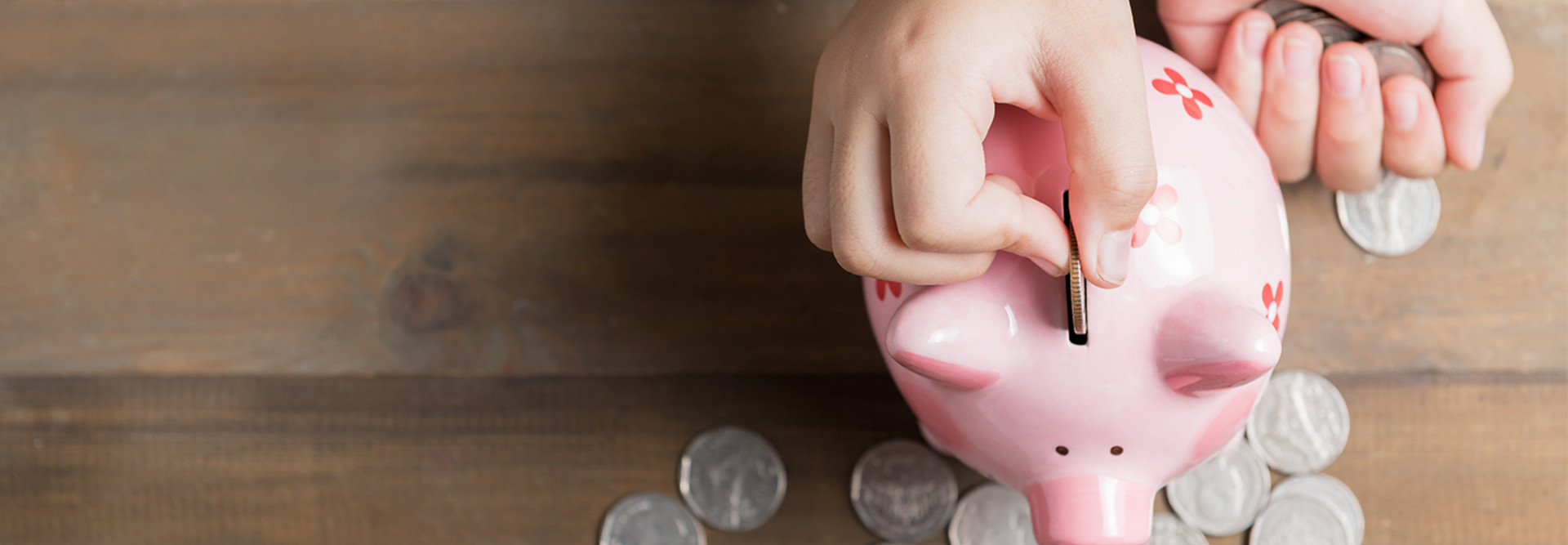 Piggy Bank