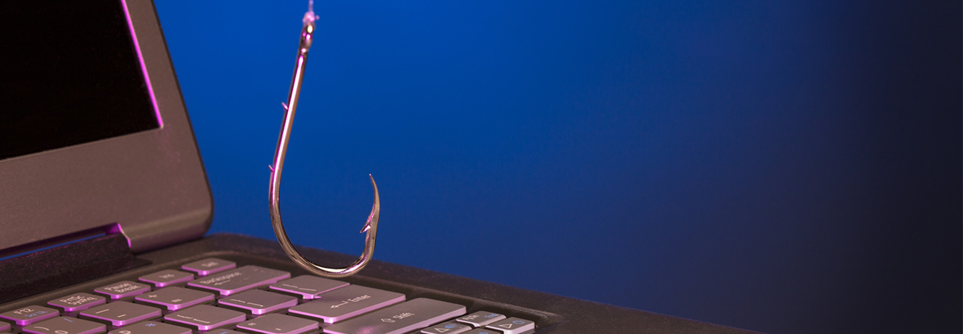 phishing concept art