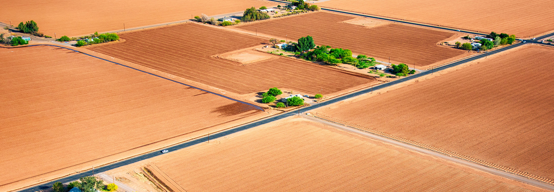 Field Landscape