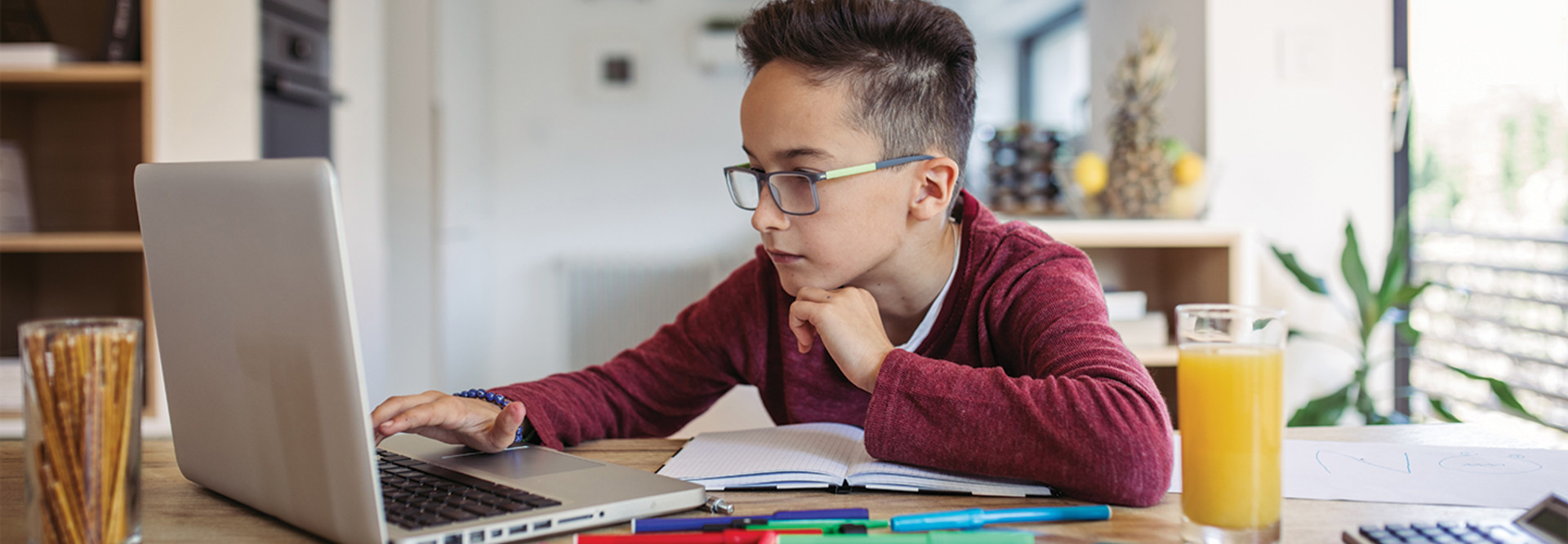 Boy using computer at home