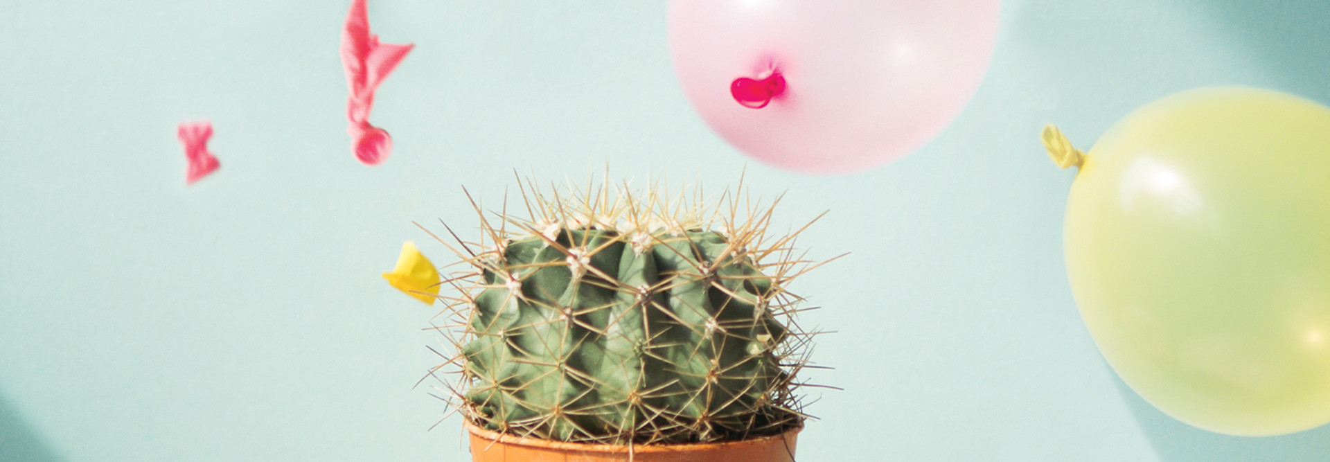 network security protection - cactus popping balloons
