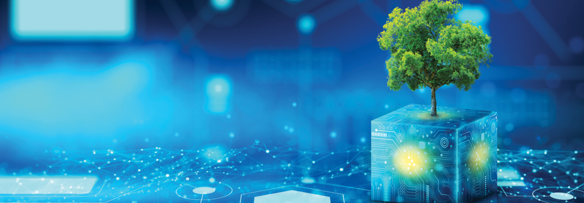 Tree growing on Circuit Digital Cube