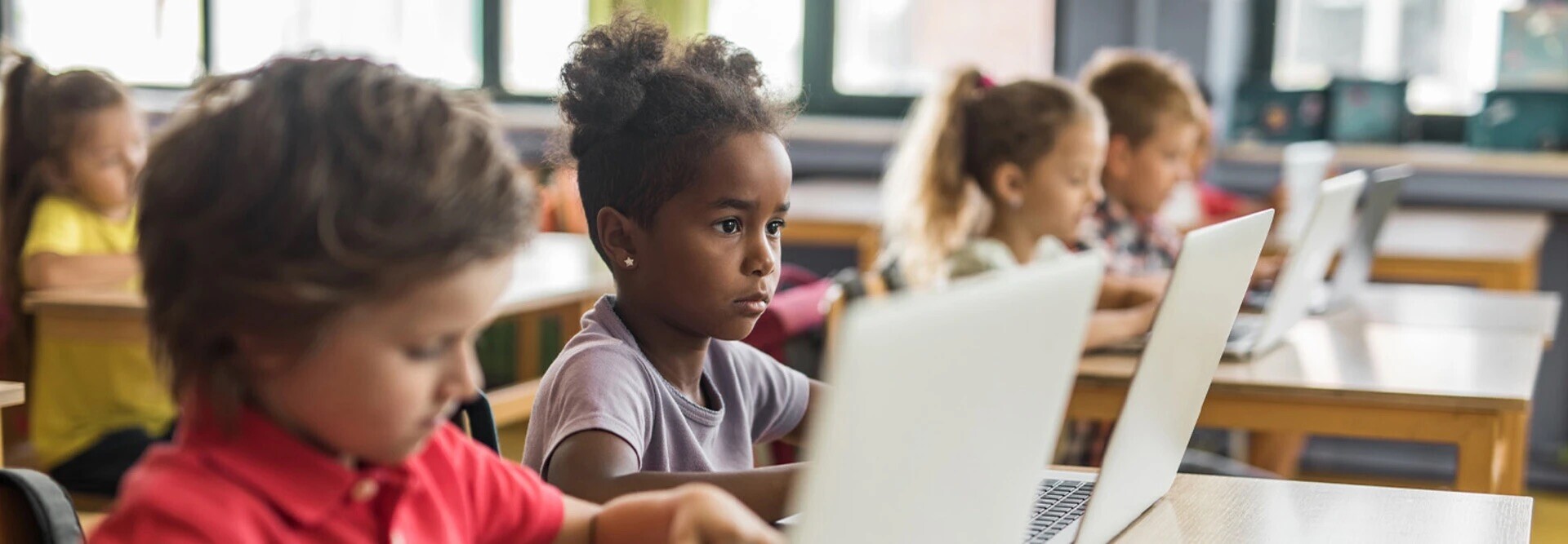 Young students working on laptops in school