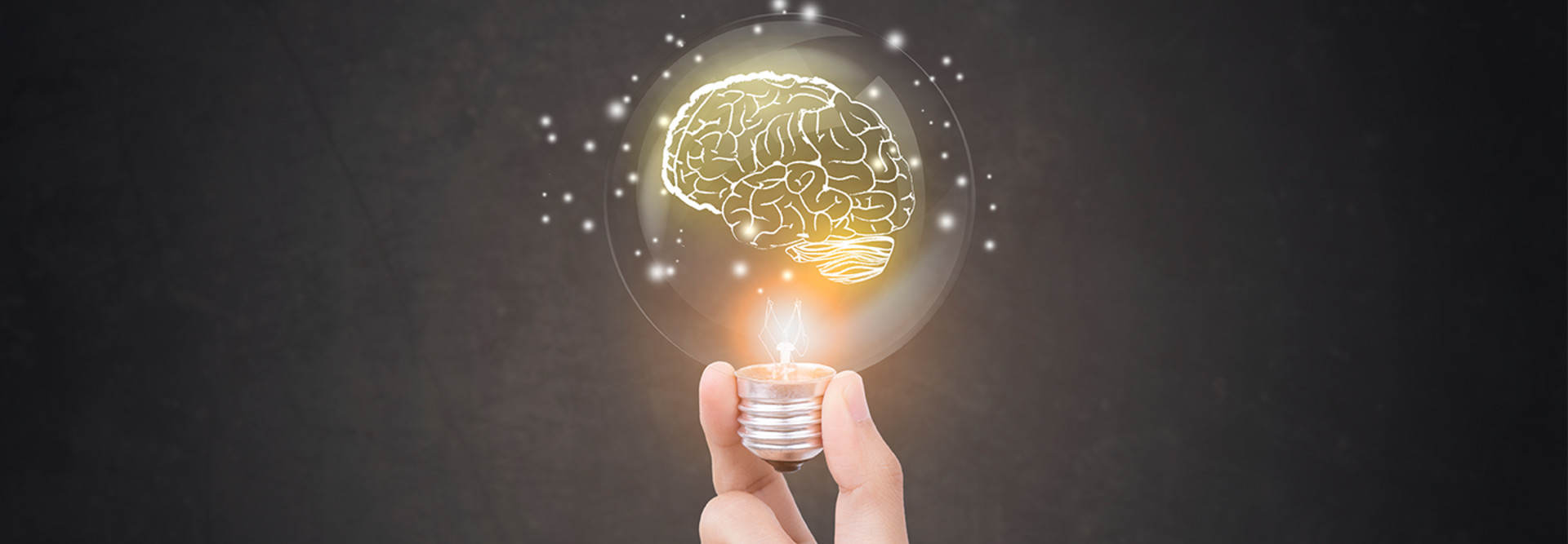 Lightbulb and brain