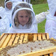 Students in Pennsylvania’s California Area School District study bees