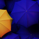 Multiple umbrellas